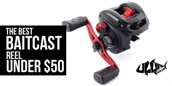 The Best Baitcasting Reels [2020 Ultimate Reviews] ⋆ ULUA.COM ⋆