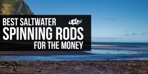 Best saltwater spinning rods for the money