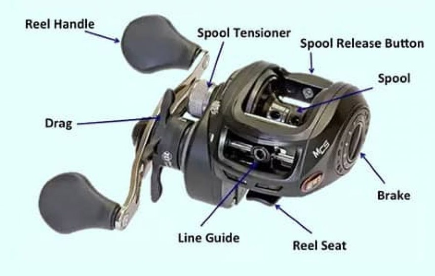 The Best Baitcasting Reels [2020 Ultimate Reviews] ⋆ ULUA.COM ⋆