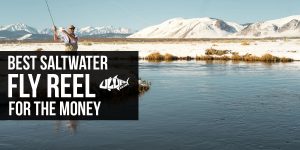Best Saltwater Fly Reel For The Money