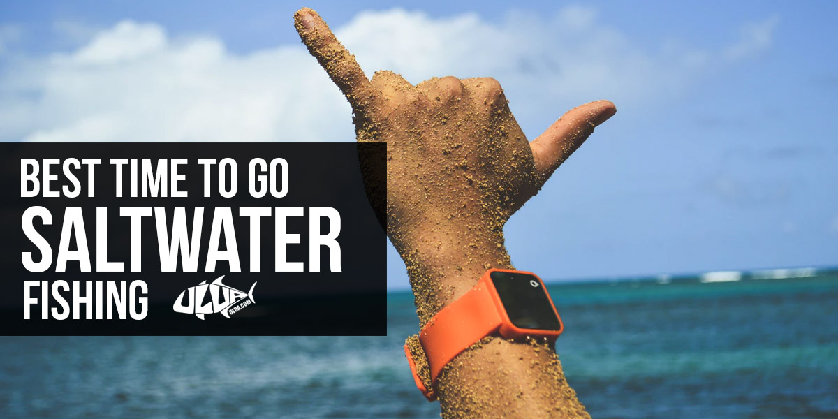 Best Time to Go Saltwater Fishing