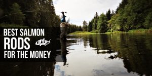 Best Salmon Rods for the Money
