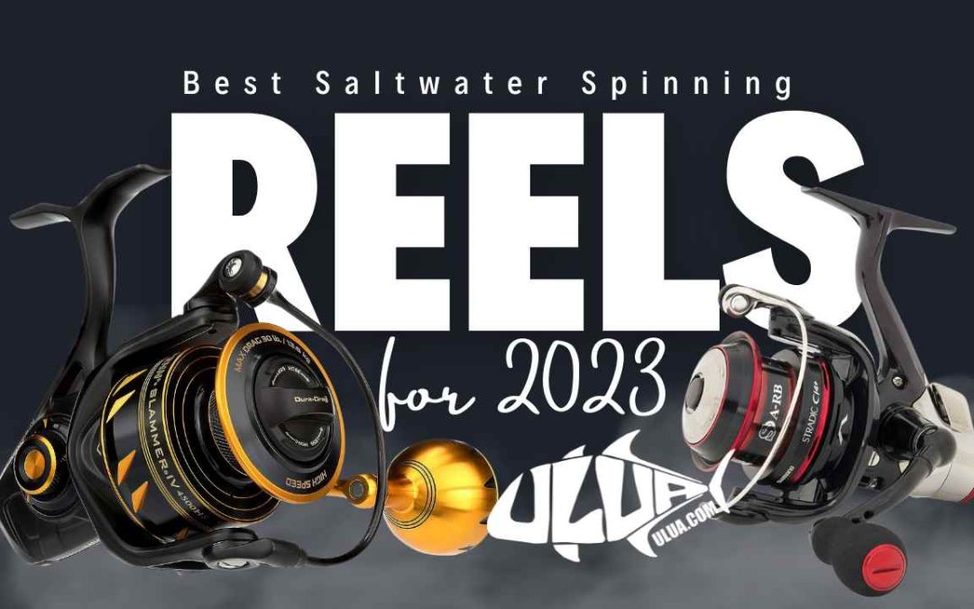 Top 5 Saltwater Spinning Reels for Inshore & Offshore Fishing (2023)